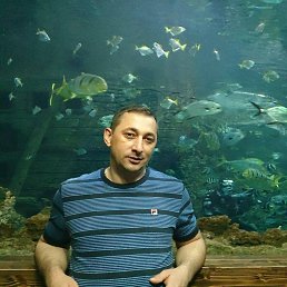 Sergey, ������, 49 ���