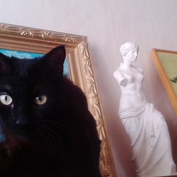 ���� �������, �����-��������� - ��������� 21 ���� 2017