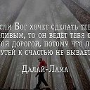 ���� �����, ����, 49 ��� - ��������� 13 ������ 2017 � ������ ���� ����������
