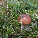 ���� Galka, ������ - ��������� 12 �������� 2017 � ������ ���� ����������