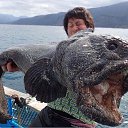 ���� ������, �����-��������� - ��������� 25 ������ 2017 � ������ ���� ����������