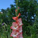 ���� �����, ����� - ��������� 17 ������� 2017 � ������ ���� ����������