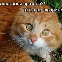 ���� ��������, �������, 44 ���� - ��������� 1 ���� 2017