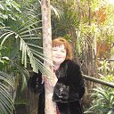 ���� �����, ������, 42 ���� - ��������� 6 ������� 2017 � ������ ���� ���� ������