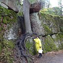 ���� �����, �����-���������, 57 ��� - ��������� 11 ������� 2017