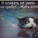 ���� ������, ����������� - ��������� 18 ������� 2017 � ������ ���� ����������