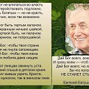 ���� �����, ���� - ��������� 8 ������ 2017 � ������ ������ ��������