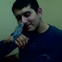 ���� ����, �����-��������� - ��������� 7 ������ 2017 � ������ ���� ����������