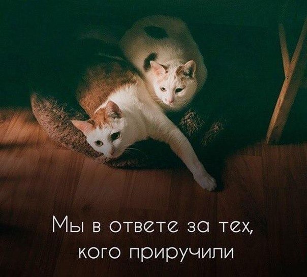   -  ,  -  - 5  2017  06:07