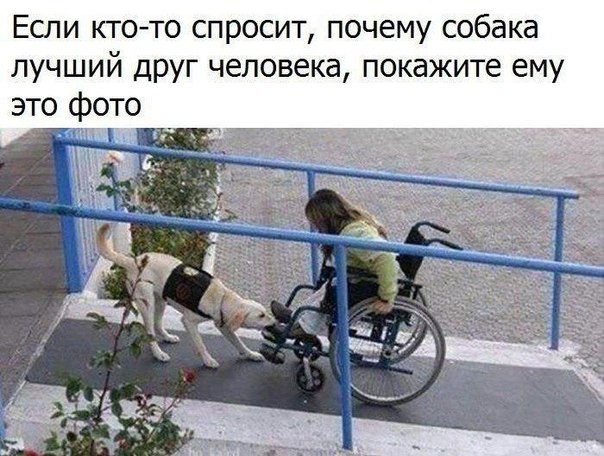   - 6  2017  18:06