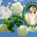 ���� �������, ��������� - ��������� 23 ������ 2017 � ������ ���� ����������