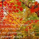 ���� �������, ������ - ��������� 27 �������� 2017 � ������ ������ ��������