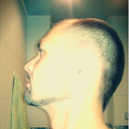 ����, �����-���������, 44 ����