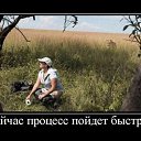 ���� ������, ������������ - ��������� 7 ������� 2017 � ������ ��������������