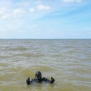 ���� �������, ����������� - ��������� 14 �������� 2017 � ������ ���� ����������