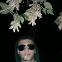 ���� �����, ������, 34 ���� - ��������� 4 ���� 2017 � ������ ���� ����������