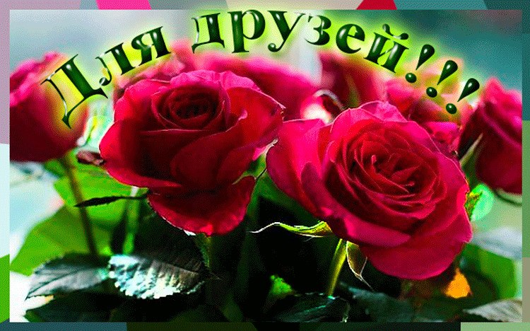 Моим друзьям, замужним и пока что не замужним, Так хочется всех благ вам в жизни пожелать, Чтоб Вас ...