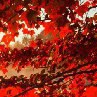 ���� ������, ������������ - ��������� 7 ��� 2017 � ������ �vk.com/fotokubiki�