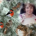 ���� ������, ��������, 63 ���� - ��������� 15 ��� 2017