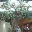 ���� ����, ��������� - ��������� 28 ���� 2017 � ������ ���� ����������