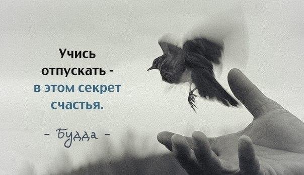 IQ Blog: , , ,  - 26  2017  03:23