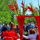  ,  -  15  2017       Ż