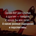 ���� ��������, �����������, 42 ���� - ��������� 11 ���� 2017 � ������ ������ ��������