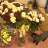 ���� �����, �����, 58 ��� - ��������� 2 ������� 2017