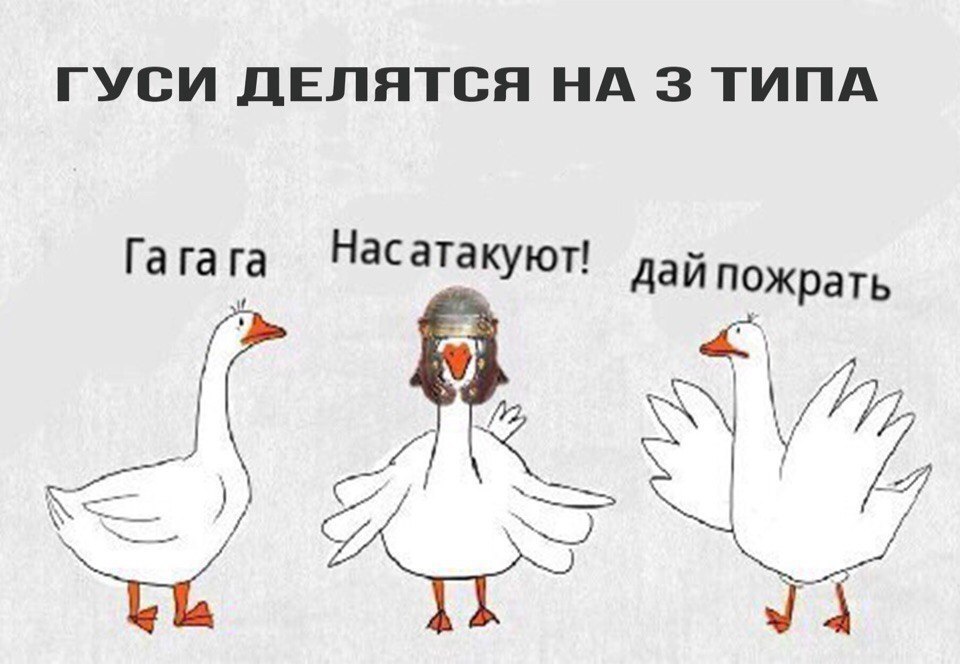 Мемы про гусей