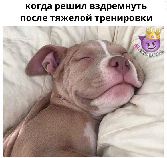 SportFeed - 14  2017  22:34