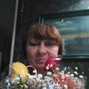 ���� ����, ������, 67 ��� - ��������� 3 ���� 2017 � ������ ���� ����������