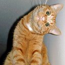 ���� ����, ������-��-���� - ��������� 5 ������ 2017 � ������ ���� ����������