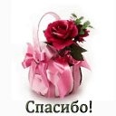 ���� �����, ���������, 79 ��� - ��������� 5 ��� 2017 � ������ ���� ����������