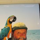 ���� ���� ����� �������, ������, 42 ���� - ��������� 5 ������� 2017