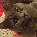 ���� �����, ������ - ��������� 30 ������ 2017 � ������ ���� ����������