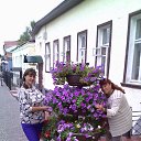 ���� ������, ��������, 59 ��� - ��������� 29 ������� 2017 � ������ ���� ����������