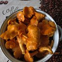 ���� ��������, Kouvola, 78 ��� - ��������� 3 ������� 2017 � ������ ����������������� ����