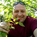  Italyanez,  -  10  2017    