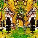  ,  -  24  2017                   Ѩ       һ