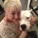 ���� ������, ������, 64 ���� - ��������� 2 �������� 2017 � ������ ���� ����������