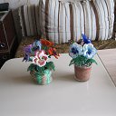 ���� ��������, �����-���������, 67 ��� - ��������� 4 ��� 2017 � ������ ���� ����������