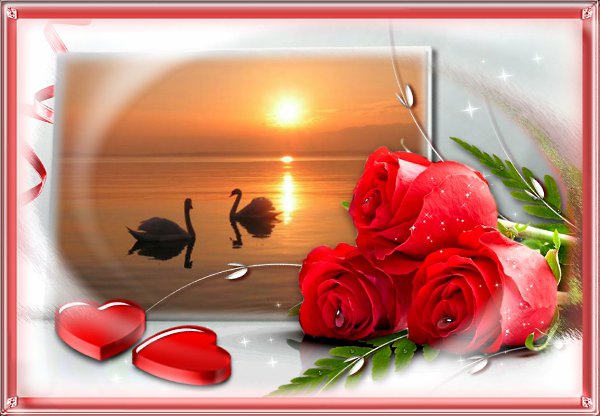 �� ����������� �������, � �� ���������� �������. �� ���������� ������� � ��� �� ������� �����������. ...