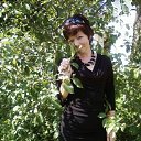 ���� ��������, ������� - ��������� 31 ������� 2017 � ������ ���� ����������