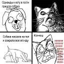 ���� �������, ����, 41 ��� - ��������� 3 ������ 2017 � ������ ������ ��������