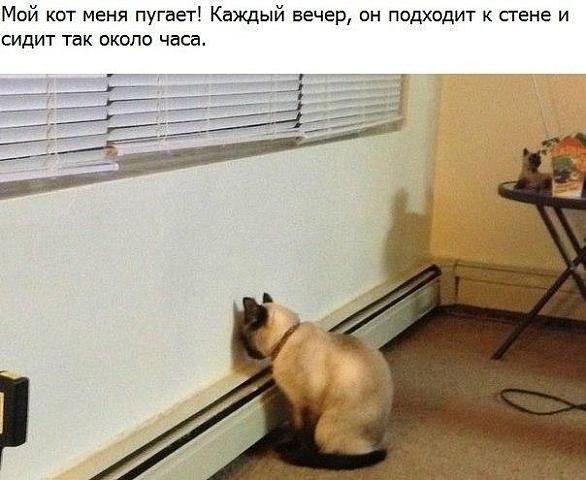 ��� ���� - 18 ������� 2017 � 08:22