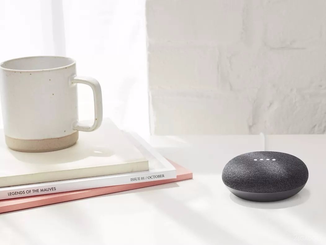   Google Home Mini  .      ...