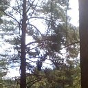 ���� �����, ������, 48 ��� - ��������� 25 ���� 2017 � ������ ������ ��������