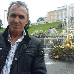 cobra, 59, 