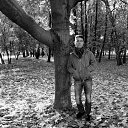 ���� ����������, ������, 53 ���� - ��������� 1 ������� 2017 � ������ ���� ����������