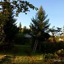 ���� ��������, �����-���������, 67 ��� - ��������� 30 ������� 2017 � ������ ���� ����������